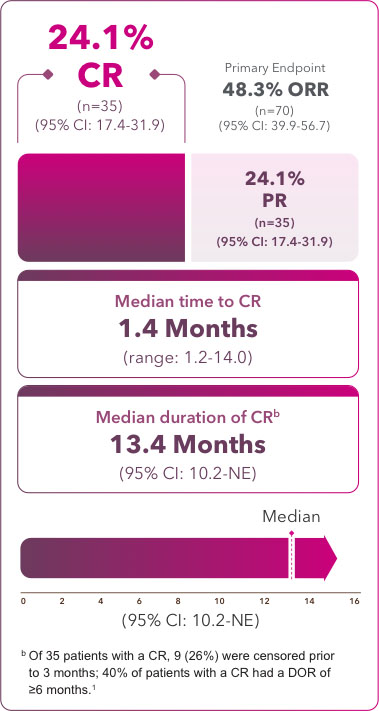 Half of responders achieved a CR Half of responders achieved a CR