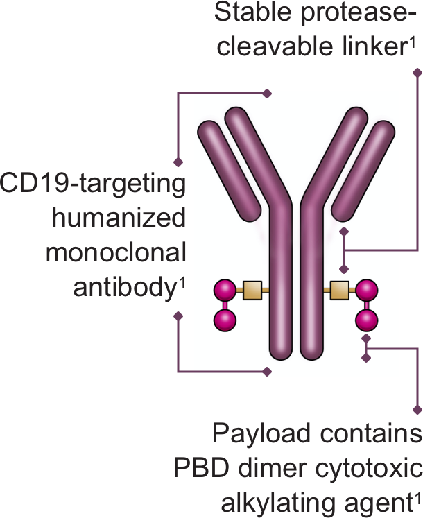 ZYNLONTA® (loncastuximab tesirine) Mechanism of Action