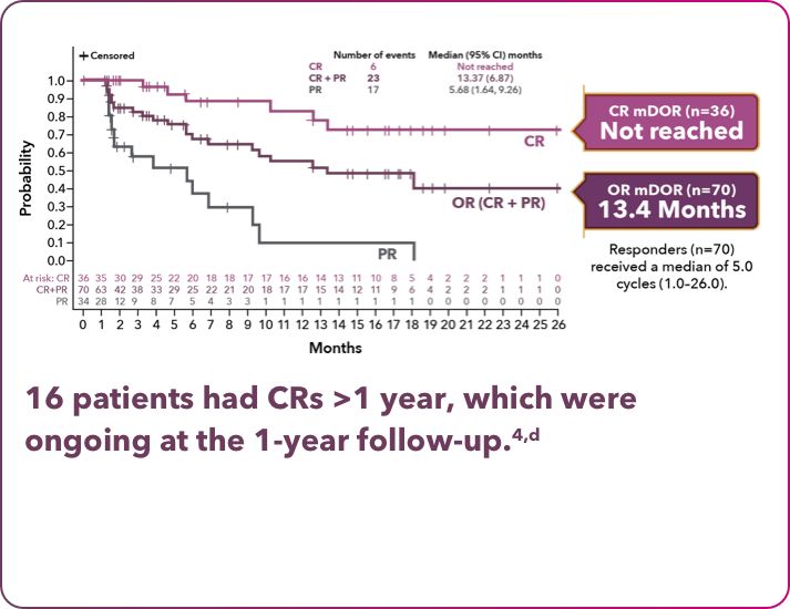 Half of responders achieved a CR Half of responders achieved a CR
