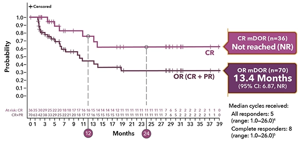 durable-responses-in-2-year-follow-up